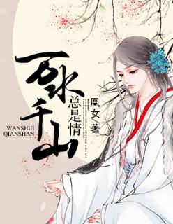 万水千山总是情的歌词