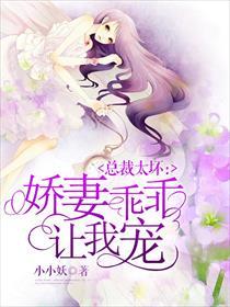 娇宠甜妻总裁老公太凶猛
