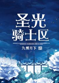 圣骑士圣光之心任务