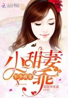 军少夜宠小甜妻乖番外