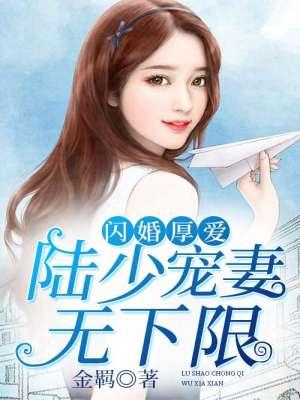 闪婚密爱陆少夫人很意外