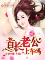 宠妻狂魔太坏了