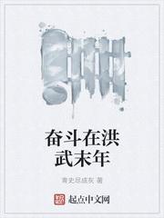 奋斗在洪武末年 女主