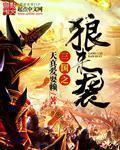 三国之狼烟四起