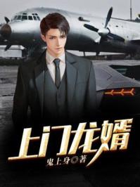 上门龙婿叶辰免费阅读全文完整版