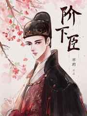 阶下臣未删减宝书