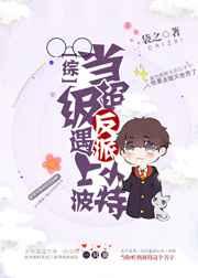 当超级反派遇上小波特 袋之