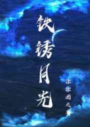 铁锈月光讲的什么