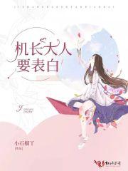 机长大人是什么意思