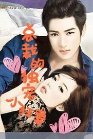 总裁独宠小狂妻