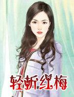 折一枝红梅