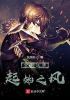 全职法师之次