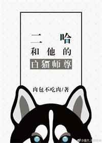 二哈和他的白猫师尊金句