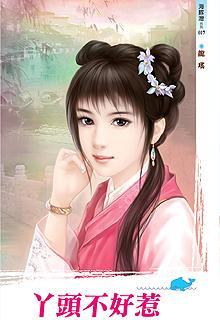 丫头不好惹免费版电视剧