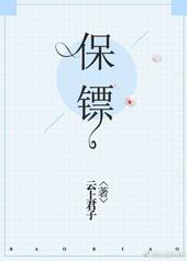 保镖车膜属于什么档次