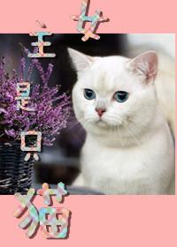 女主是只猫po男主是老虎