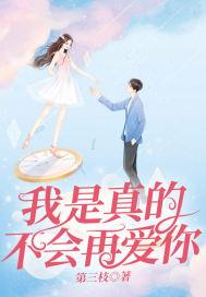 我真的不会再爱你了是什么歌