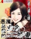 恶魔总裁的专属野