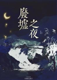 废墟之夜(1v1