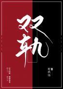 双轨讲的什么