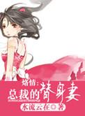 总裁的替身全文阅读