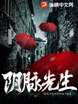 阴脉先生正版