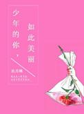 少年的你如此美丽讲的什么