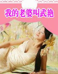 我的老婆叫武艳 陈琳