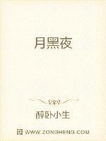 月黑夜风高全诗译文