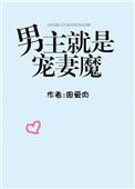男主是个宠妻狂魔