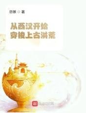 穿越西汉汉武