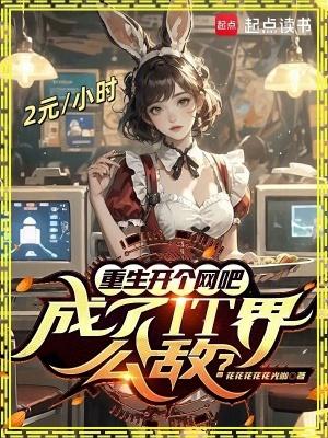 主角重生开网吧