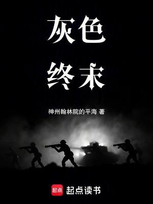 灰色系列有汉化吗