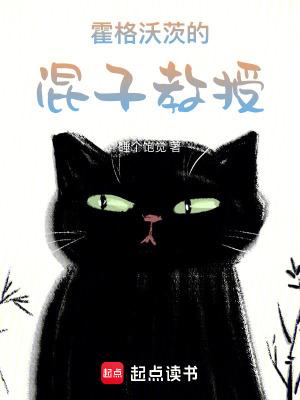 主角是霍格沃茨教授