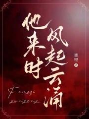他来时风起云涌电视剧