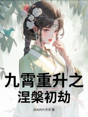 九重云霄什么意思