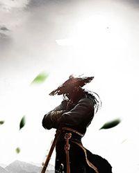 武神风暴完整版