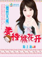 宠妻婚然天成全文免费