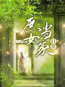 庶女当道讲的什么