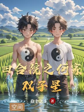 四合院之何严