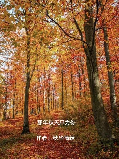 电影那年秋天简介