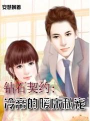 钻石暖婚免费阅读