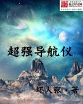导航仪品牌哪个好