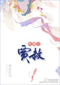 红楼之贾赦孽缘