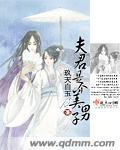 夫君是男宠