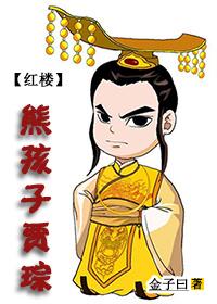 红楼之贾政的儿子