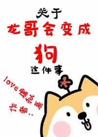 龙哥全名