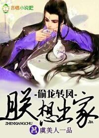 偷龙转凤什么意思