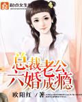 总裁老公宠妻成瘾免费全文阅读