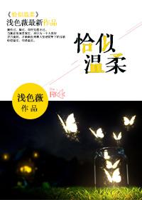 恰似你的温柔上一句是什么